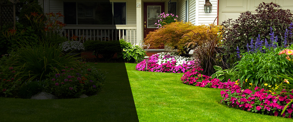 Bisbee Landscapers